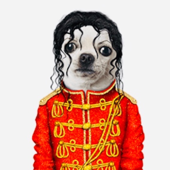 Pets Rock / POP / Mug / NIB / Host Pick - Picture 4 of 11